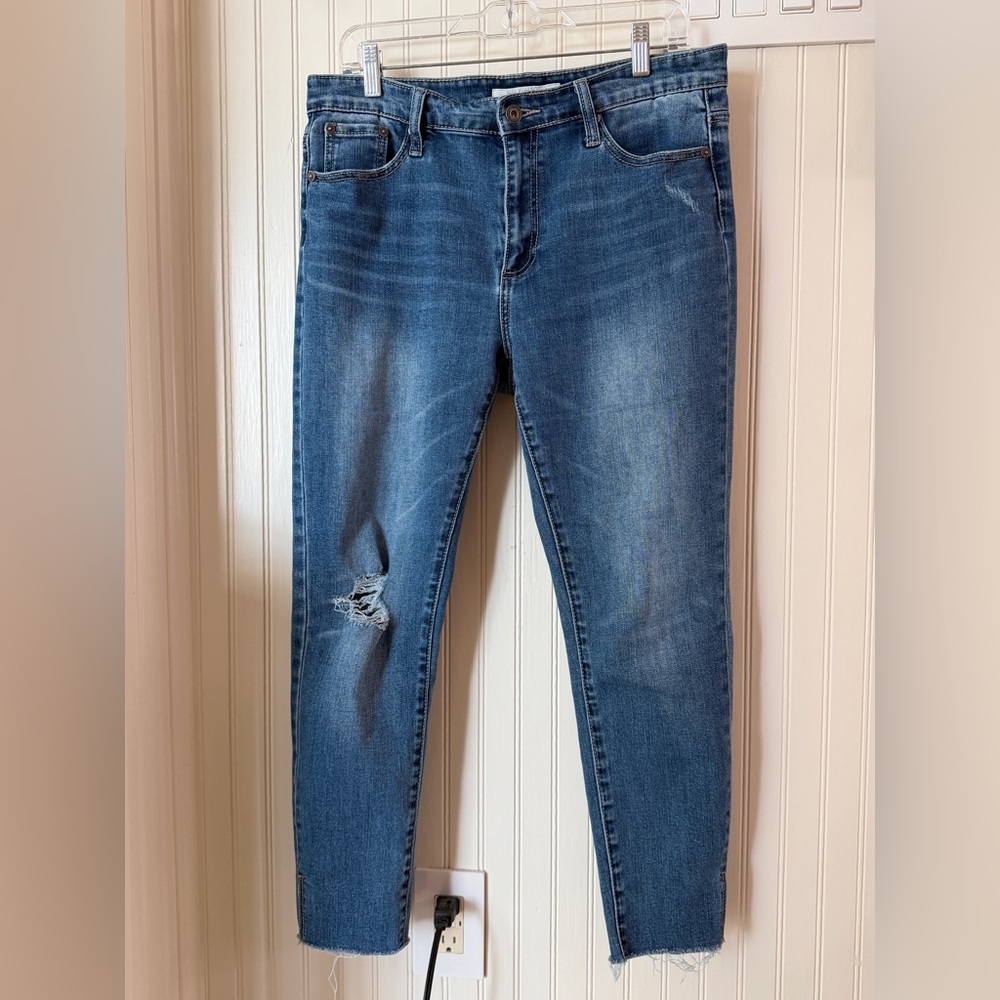 Stetson Distressed Blue Skinny Jeans